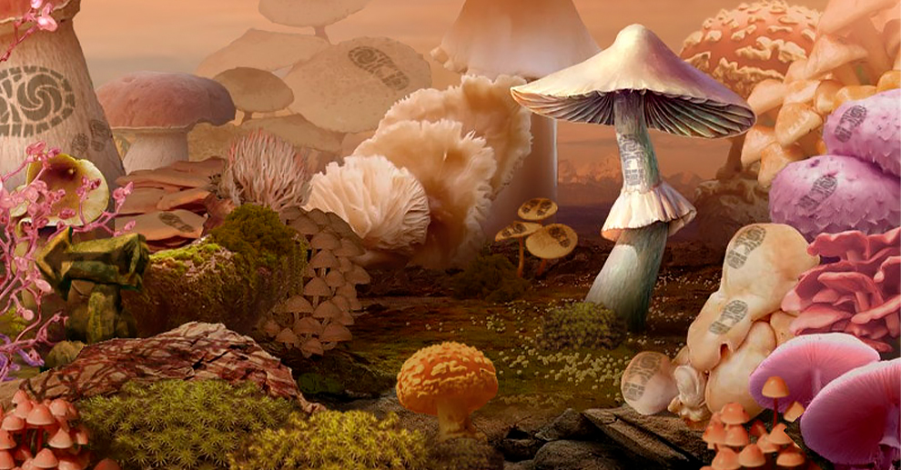 Screenshot № 4. Download Mushroom Age and more games from Realore website
